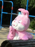 /album/%e3%83%95%e3%82%a9%e3%83%88%e3%82%ae%e3%83%a3%e3%83%a9%e3%83%aa%e3%83%bc/cimg2224-jpg/