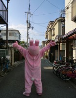 /album/%e3%83%95%e3%82%a9%e3%83%88%e3%82%ae%e3%83%a3%e3%83%a9%e3%83%aa%e3%83%bc/cimg2231-jpg/