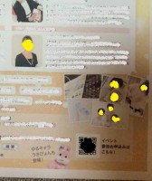 /album/%e3%83%95%e3%82%a9%e3%83%88%e3%82%ae%e3%83%a3%e3%83%a9%e3%83%aa%e3%83%bc/usa-jpg/