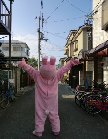 2014.7 お散歩うさぴょん